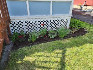 Front Yard