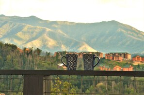 Unobstructed direct  Mt LeConte views