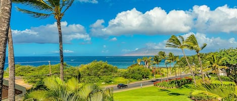 Spectacular view from the lanai.