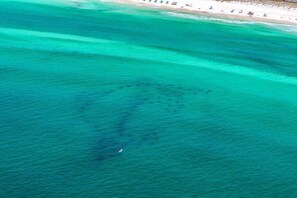 Dolphin Reef  Miramar Beach Regional Access 