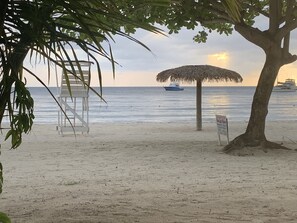 Beach, Coast, Nature, Outdoors, Sea