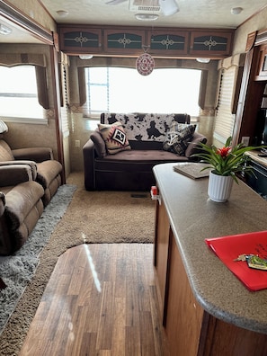 Livingroom area w/pullout bed