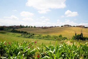 Landscape surrounding Tenuta Capizucchi