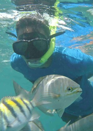 Divers