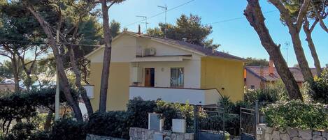 Plant, Sky, Building, Property, Window, Tree, House, Shade, Arecales, Cottage