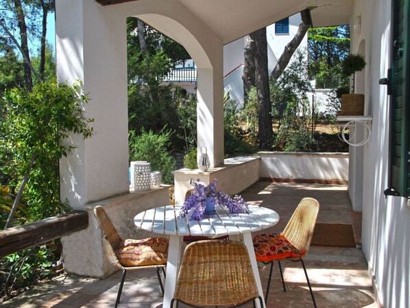 Property, Plant, Furniture, Table, Azure, Botany, Tree, Shade, Chair, Outdoor Furniture