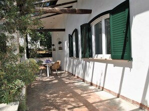 Building, Plant, Window, Shade, Interior Design, Wood, Real Estate, Chair, Tree, Facade