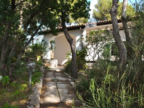 Plante, Bâtiment, Arbre, Escaliers, Bois, Herbe, Ciel, Paysage, Maison, Porte