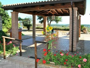 Pianta, Fiore, Cielo, Botanica, Shade, Gazebo, Albero, Pergola, Paesaggio, Immobiliare