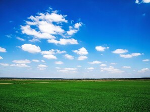 Ciel, Nuage, Bleu, Jour, Herbe, Environnement Naturel, Cumulus, Prairie, Horizon, Champ