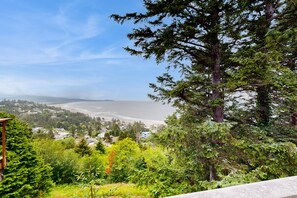 Beach/ocean view