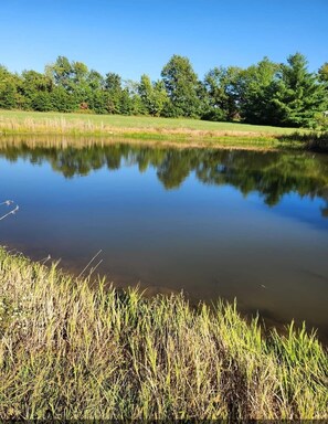 Catch and release pond