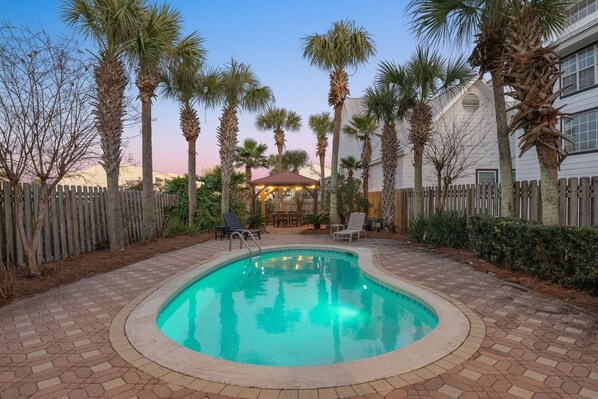 Palm Tree lined Yard