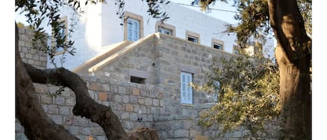 Old House surrounded by 100 year old olive trees.