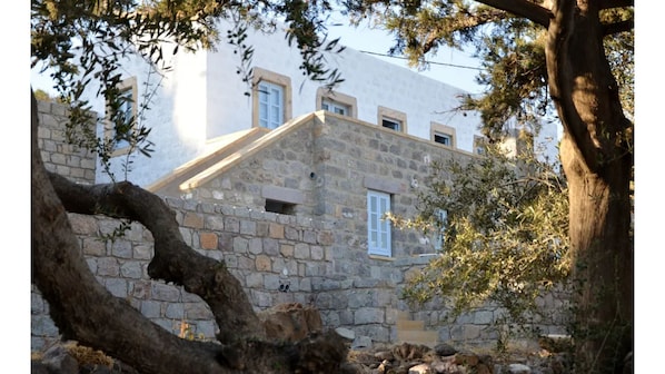 Old House surrounded by 100 year old olive trees.