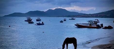 The fishing village of Esperanza, just steps from Wild Horses Beach House.