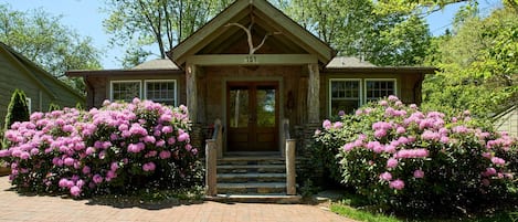 Charming entrance with poplar tree bark and beautiful rhododendron