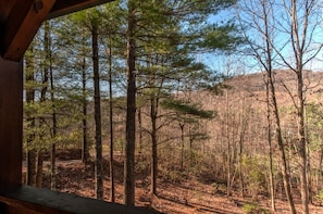 Winter mountain views in a scenic rural area 15 minutes from Boone/20 min to Blowing Rock