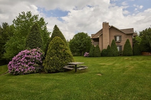 The Balsam building has gorgeous setting with a picnic table