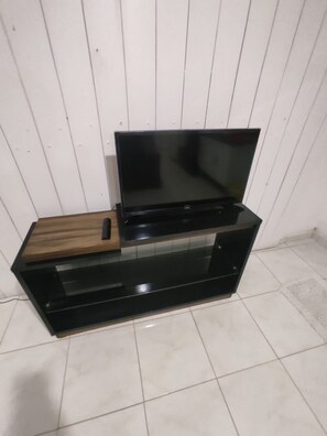 Television