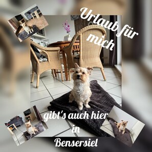 Interiör