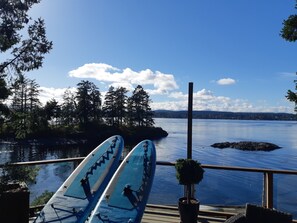 Utsikt från boendet