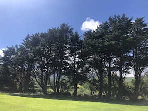 Large side garden facing Mount Brandon 