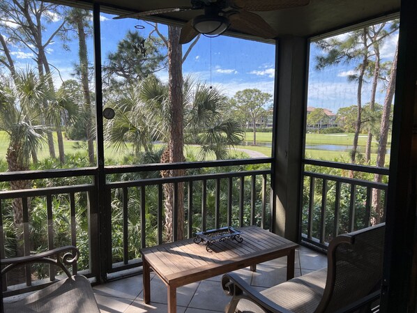 Relaxing view from screened lanai