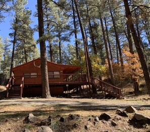 3 Little Bears - A cabin tucked away in the pines