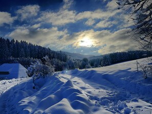 Snow and ski sports