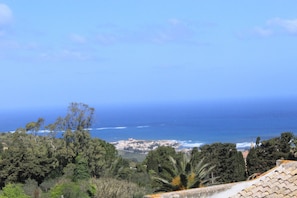 Beach/ocean view