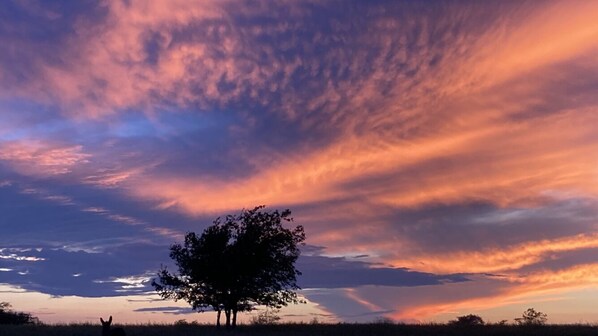 breathtaking sunsets