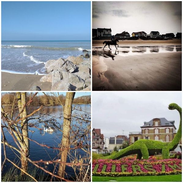 Beach/ocean view