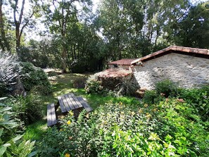 Jardin avec table forestière