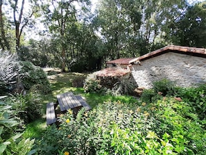 Jardin avec table forestière