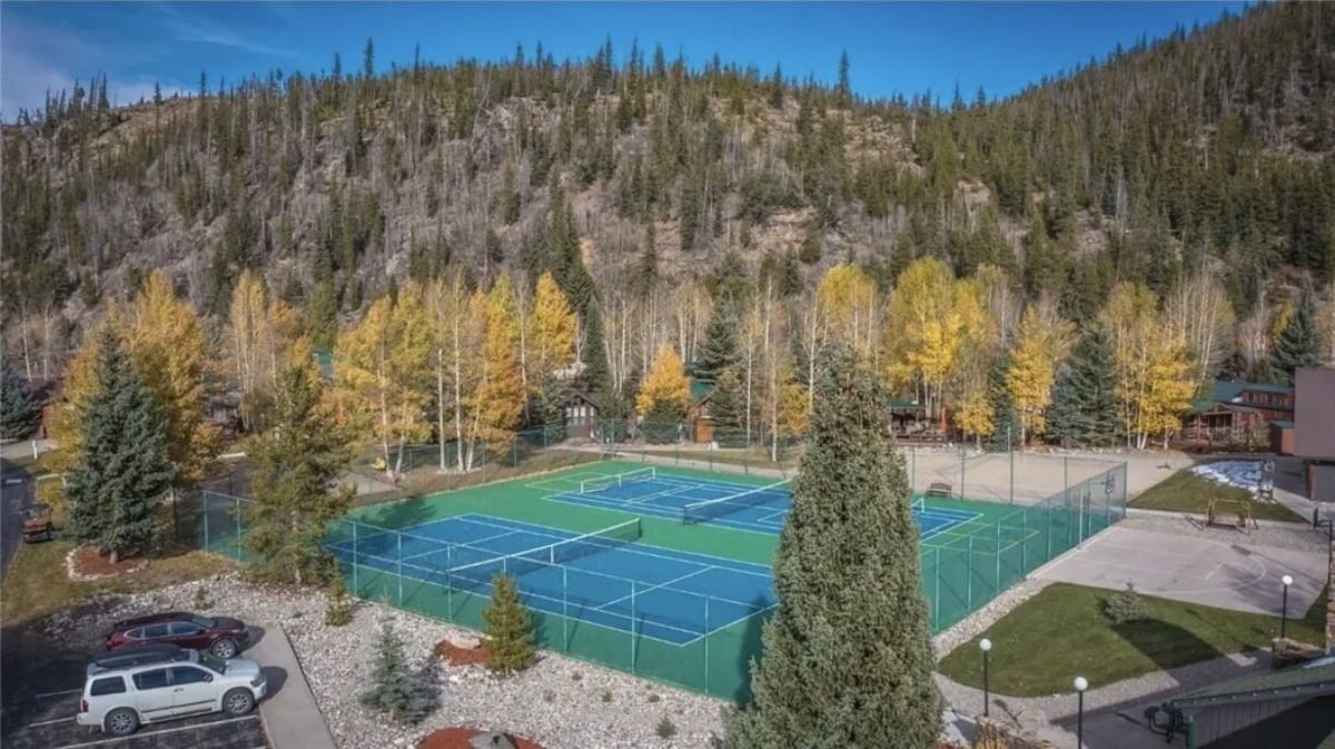 Sun & Snow Chalet Breckenridge, a Dog Lovers Dream