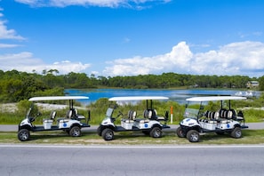 One of our 6 seater golf carts is included with the home rental