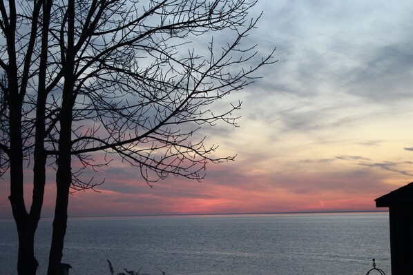 Scenic view from cottage