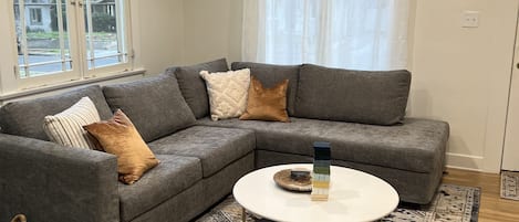 Common Area sofa with pull out full size sofa bed