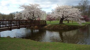 Bridge and trees near lake in Nomahegan Park NJ - 8.5 miles away