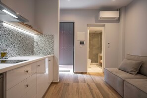 Fully-equipped kitchenette and sitting area 