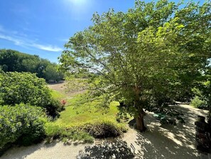 Terrain de l’hébergement 