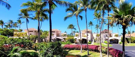 Beautiful view from The Shores at Waikoloa 231