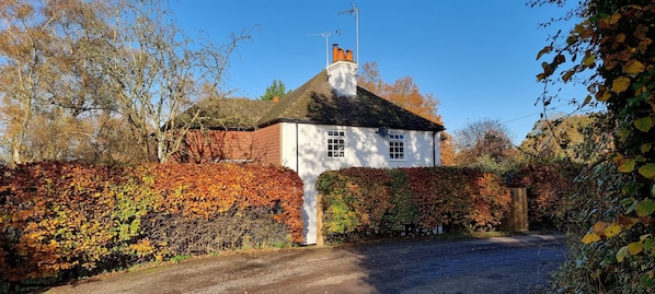 Country cottage in the morning sunshine