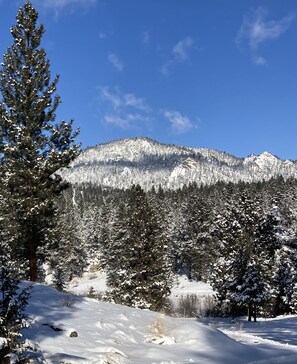 Winter view of Sheep Mountain from front door.