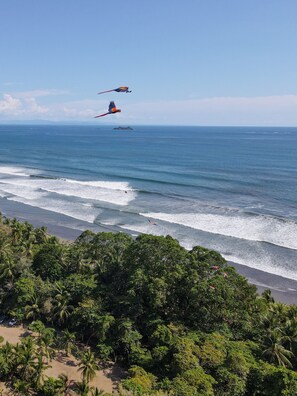 Playa