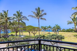 view from lanai