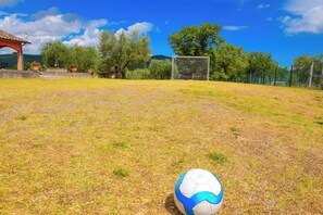 Sport court