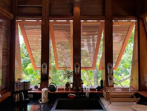 Kitchen Sink View
