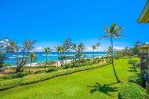 Oceanfront Views from Private Lanai, Coastal Path to Lydgate Bea